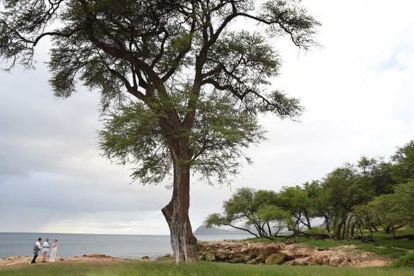 Ko Olina Weddings